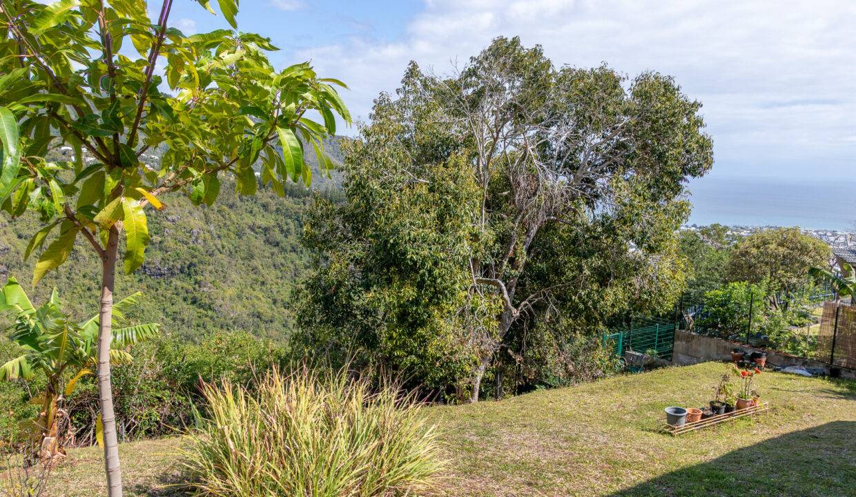 jardin