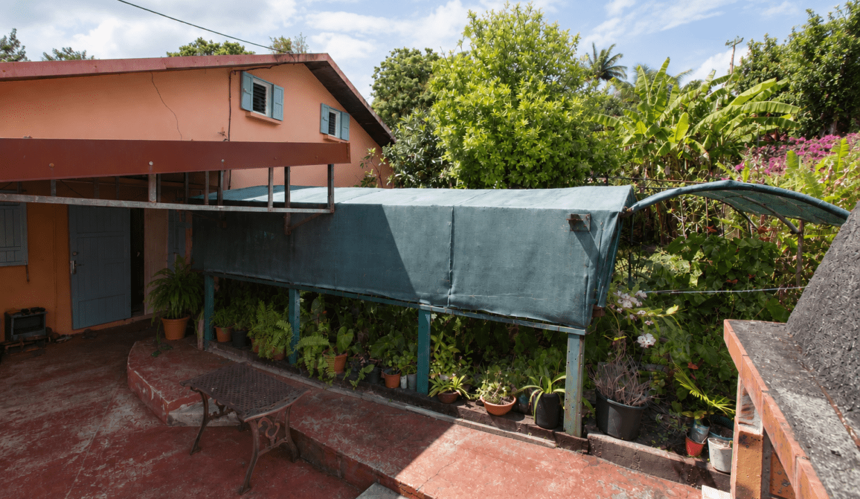 jardin tropical
